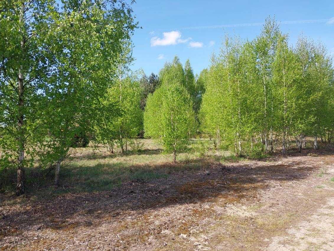 Działka niedaleko jeziora i lasów - Klusek, Białe, Gorzewo, Lucień