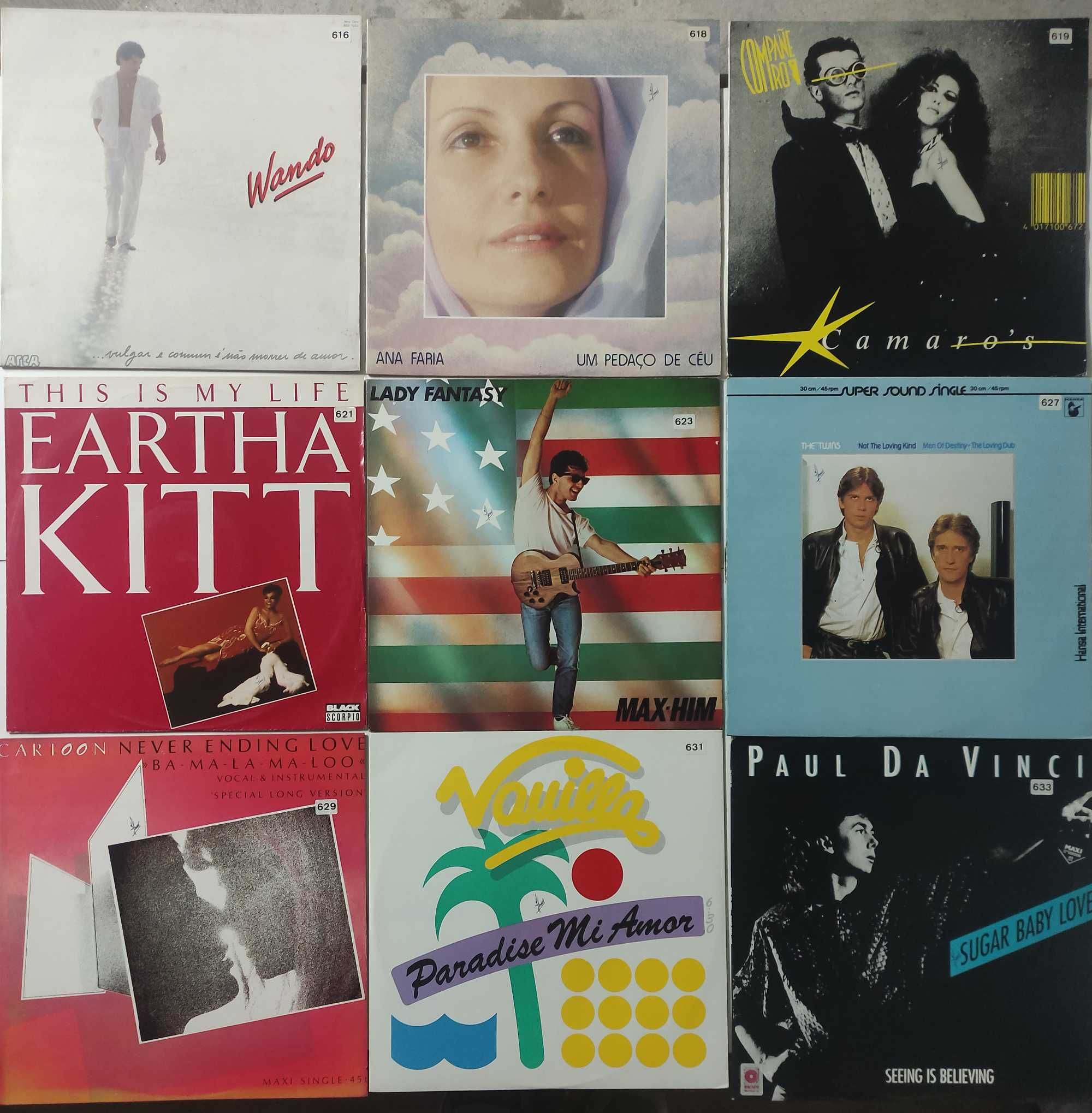 Vários discos de música Vinil LP (grandes)