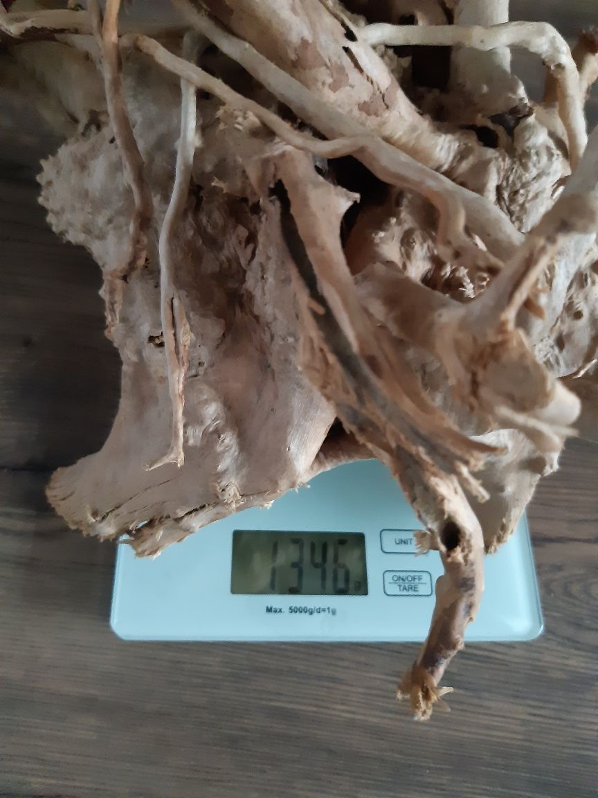 Korzeń do akwarium