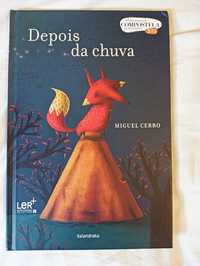 Livro infantil Depois da chuva