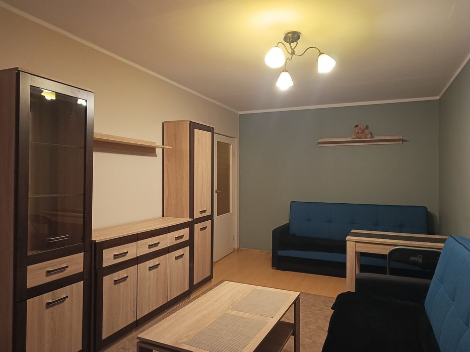 Wynajmę 2-pokojowe, przestronne mieszkanie Łódź Koziny