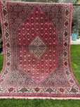 Bidjar Thakab kaszmirowy r. tkany dywan perski Iran 300x200 gal 28 tys