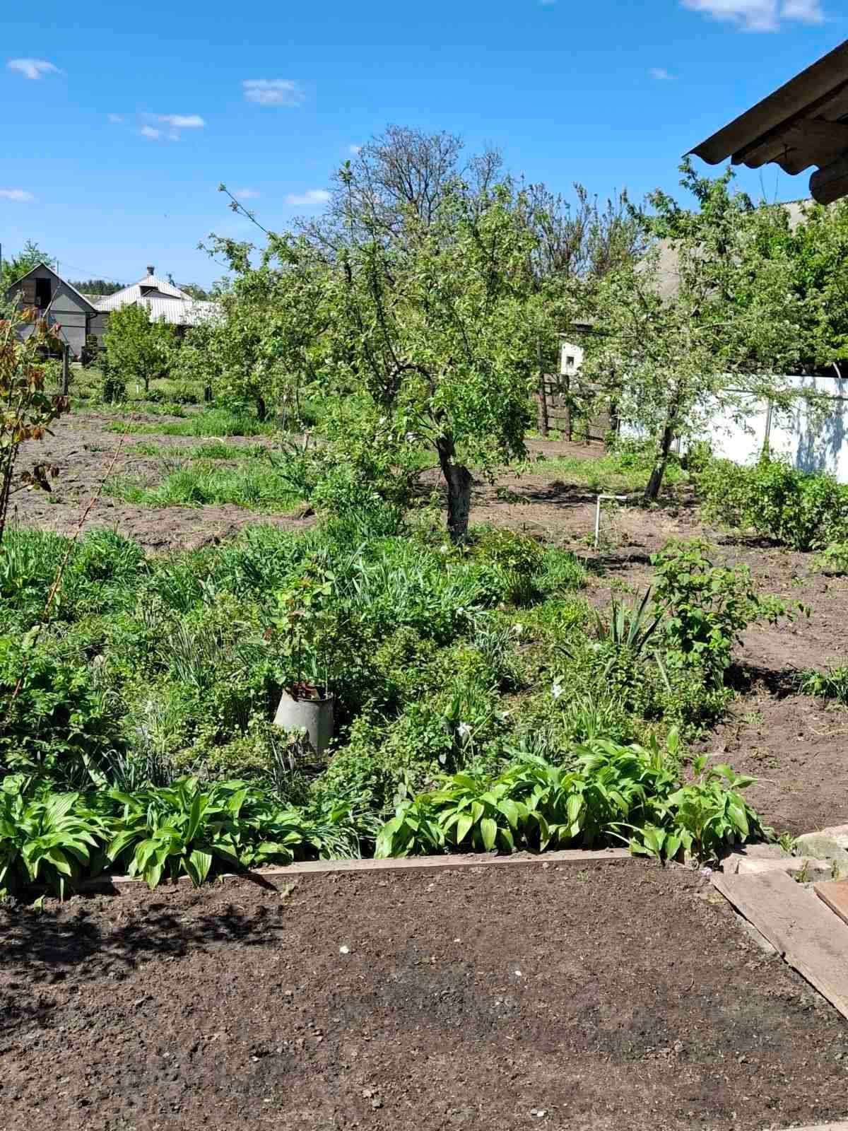 Продам ДОМ в отличном состоянии и хорошем месте. Актуально!