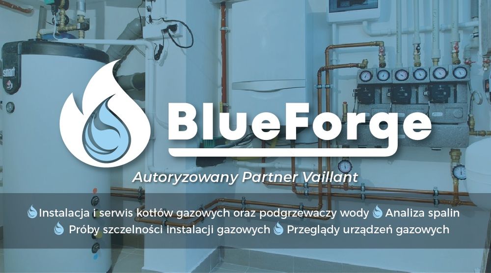 Serwis, naprawa, przegląd kotłów gazowych oraz podgrzewaczy wody.