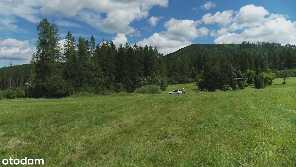 Pięć działek do zabudowy w lesie, 889m2, a może o pow. 5972m2