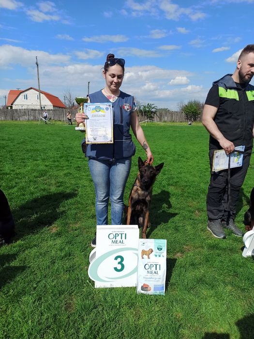 Дресирування собак, кінолог