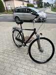 Rower Gazelle Furore