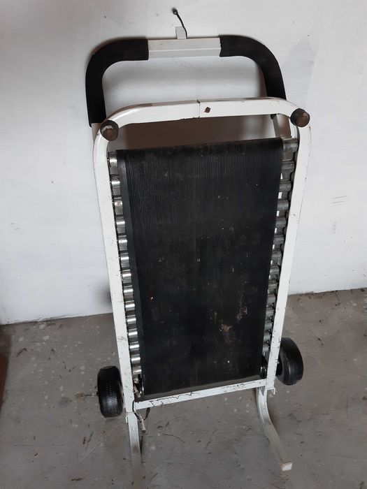 bieznia dla sportowcow seniorow i zwierzakow