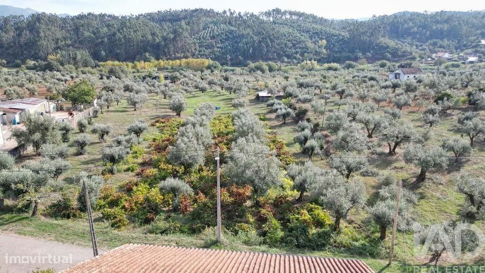 Terreno Agrícola em Podentes
