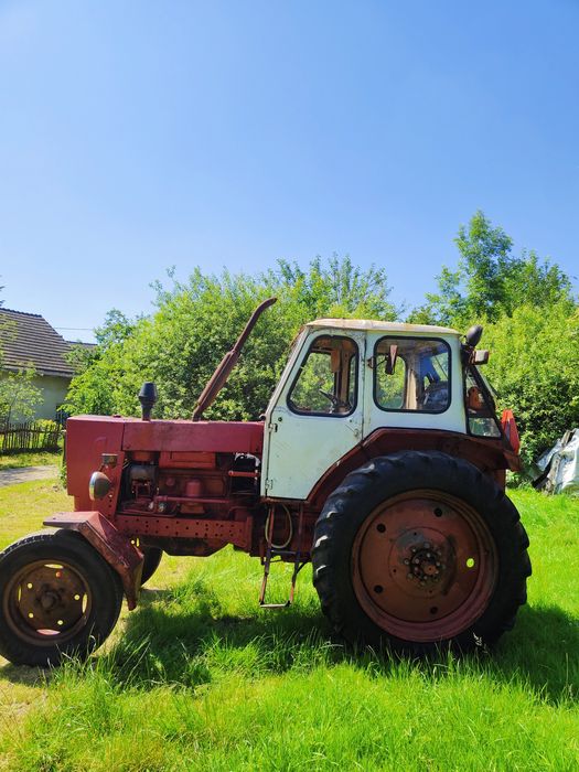 Belarus Jumz 65 Białoruśka  / nie Ursus, mtz