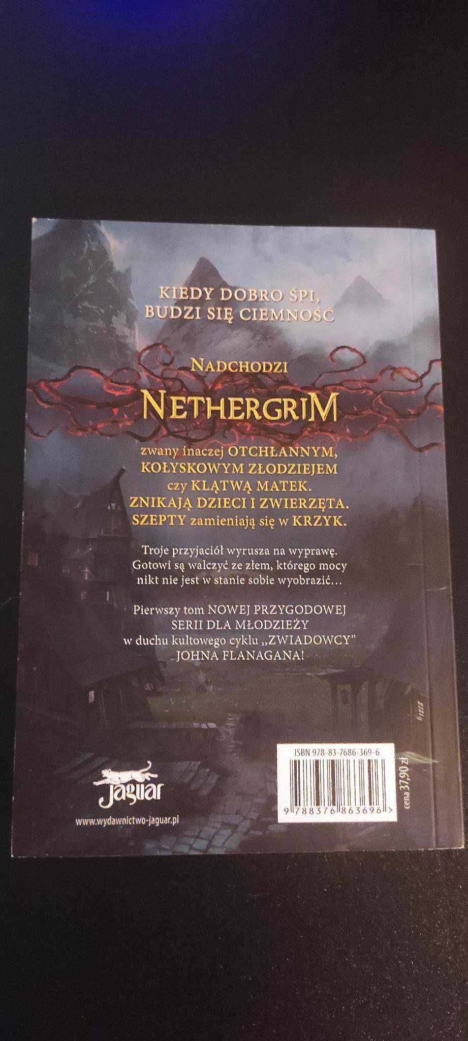 Nethergrim Tom 1 Otchłanny Mathew Jobin