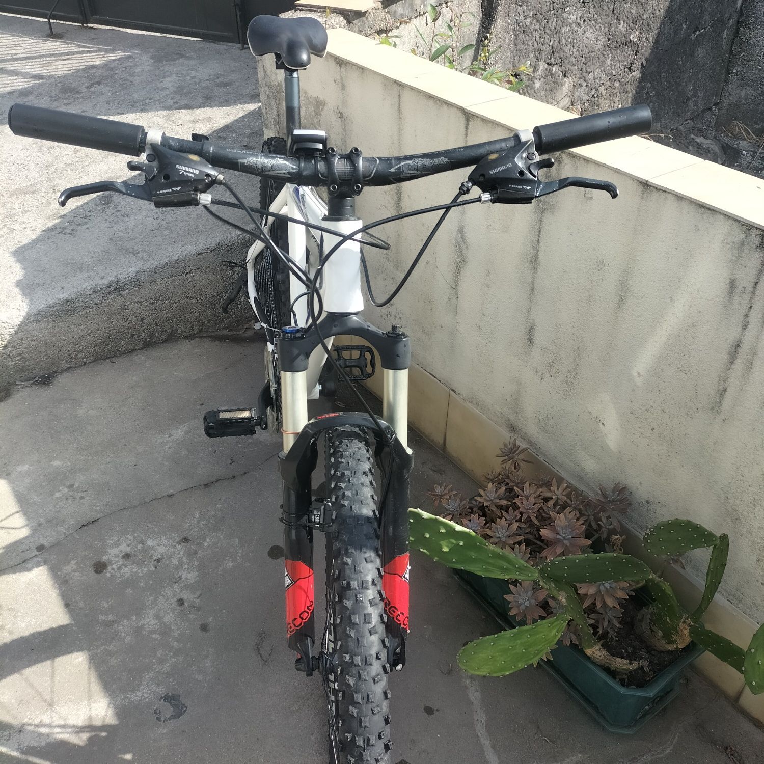 Bicicleta DS rada 26