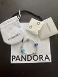 Pandora multicor