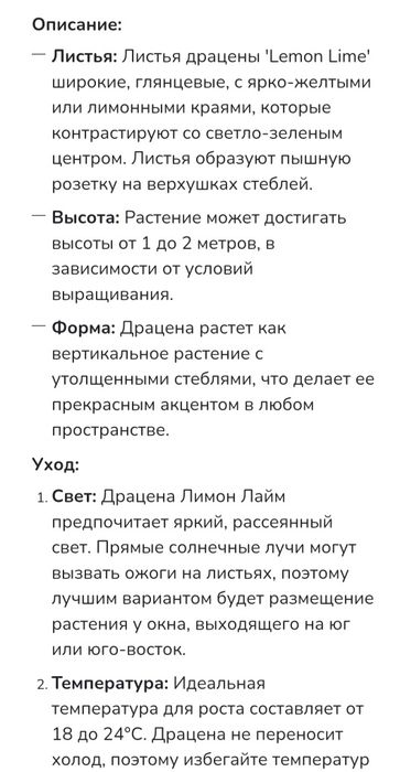 Драцена Лемон Лайм