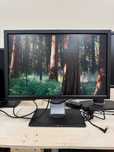 Monitor Dell P2210 22"