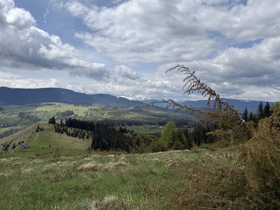 7 гектарів з видом на новерлу