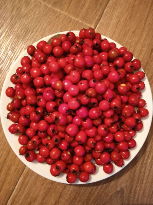 Часник сушений , сушені  яблука, томати , глод  домашніх урожай 2025р