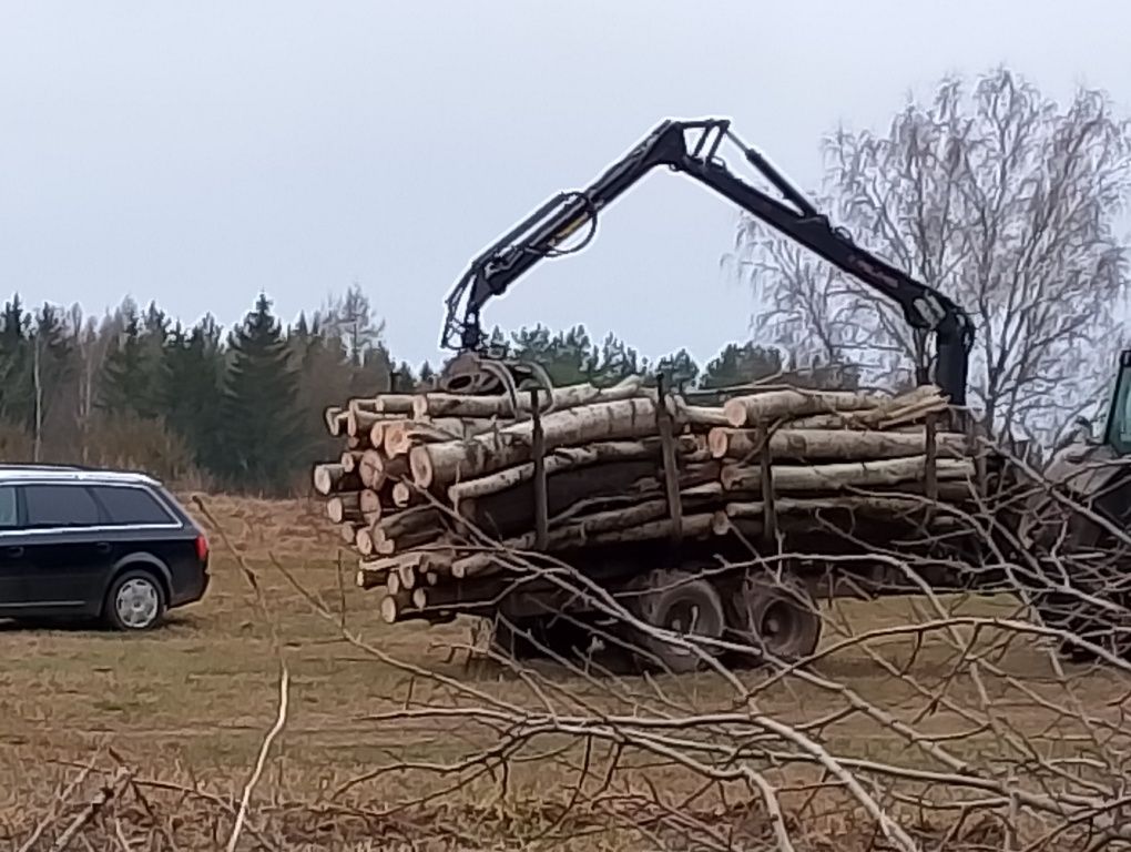 Usługi Ogrodniczo-Leśne