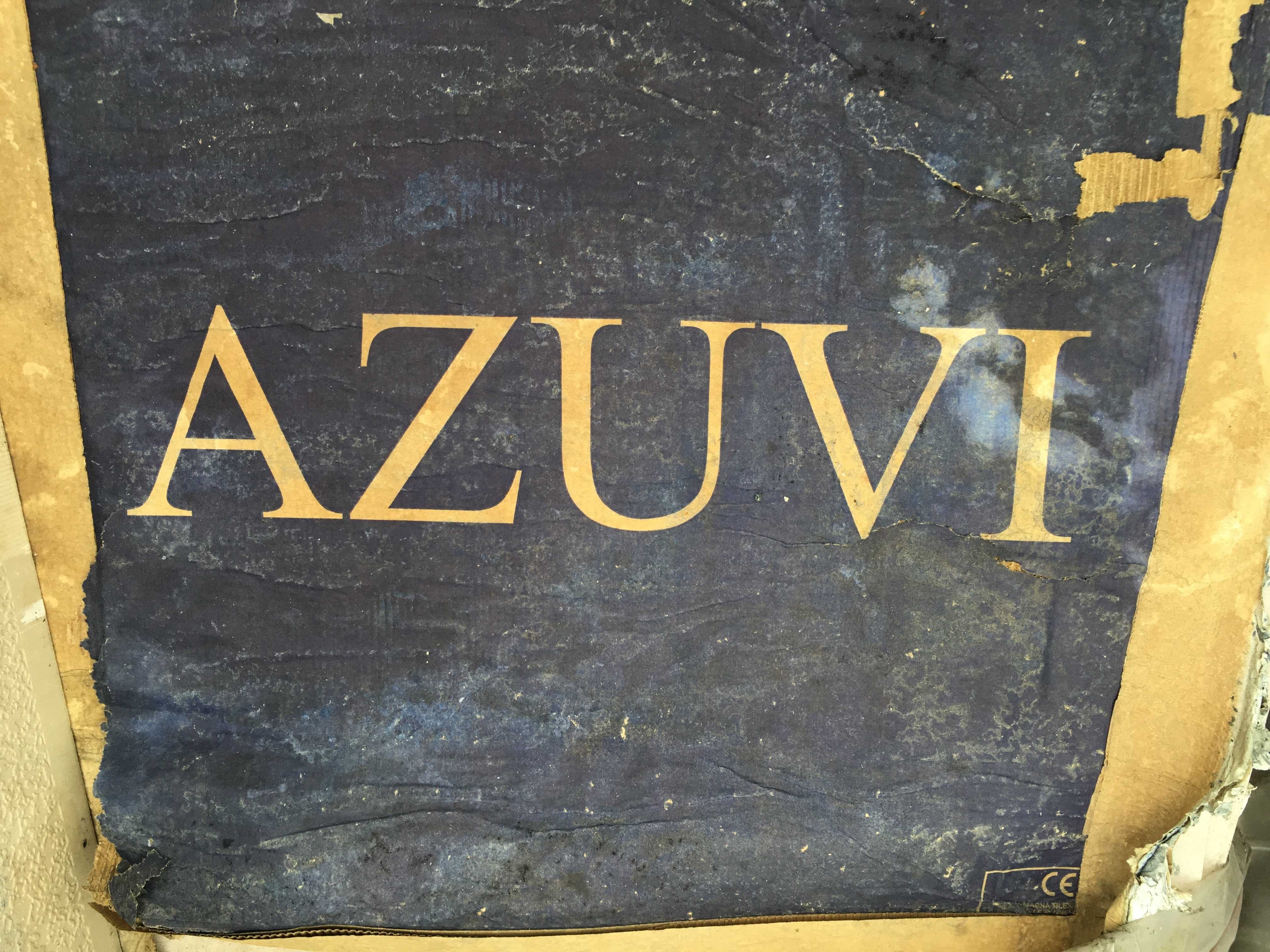 Gres / płytka podłogowa AZUVI 59,6X59,6
