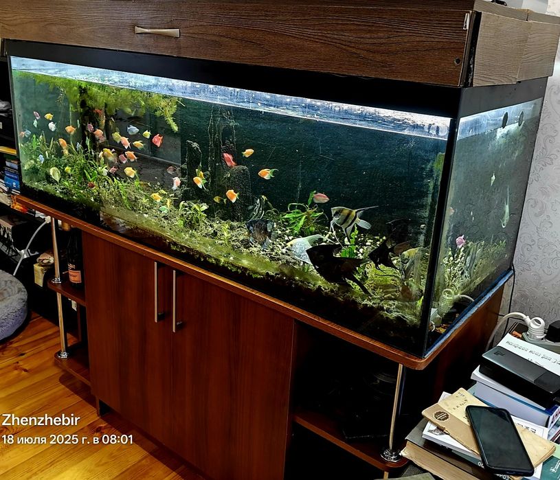 Акваріум  500 літрів та причандали..