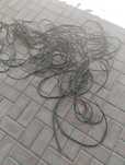 Kabel oddam za darmo