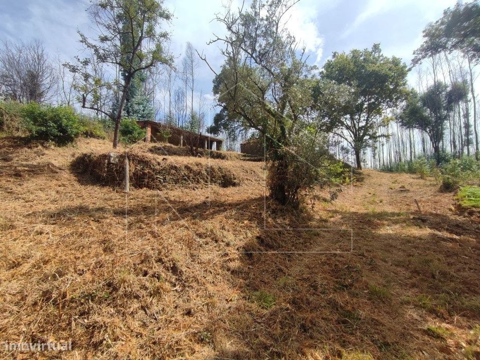 Terreno/quinta com pequena edificação