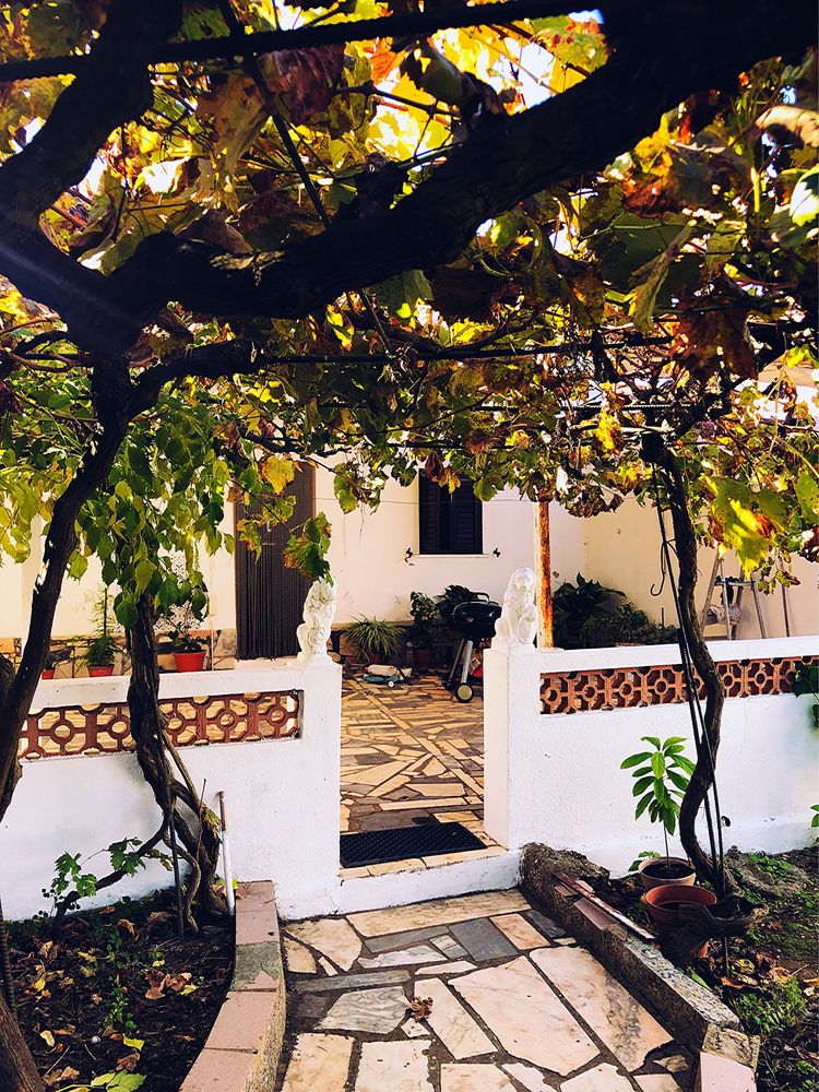 Quinta com 2 Vivendas, 1hectare de terreno, poço+furo de agua etc..