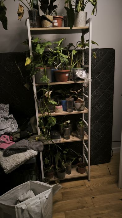 Regał loft biały Black Red white