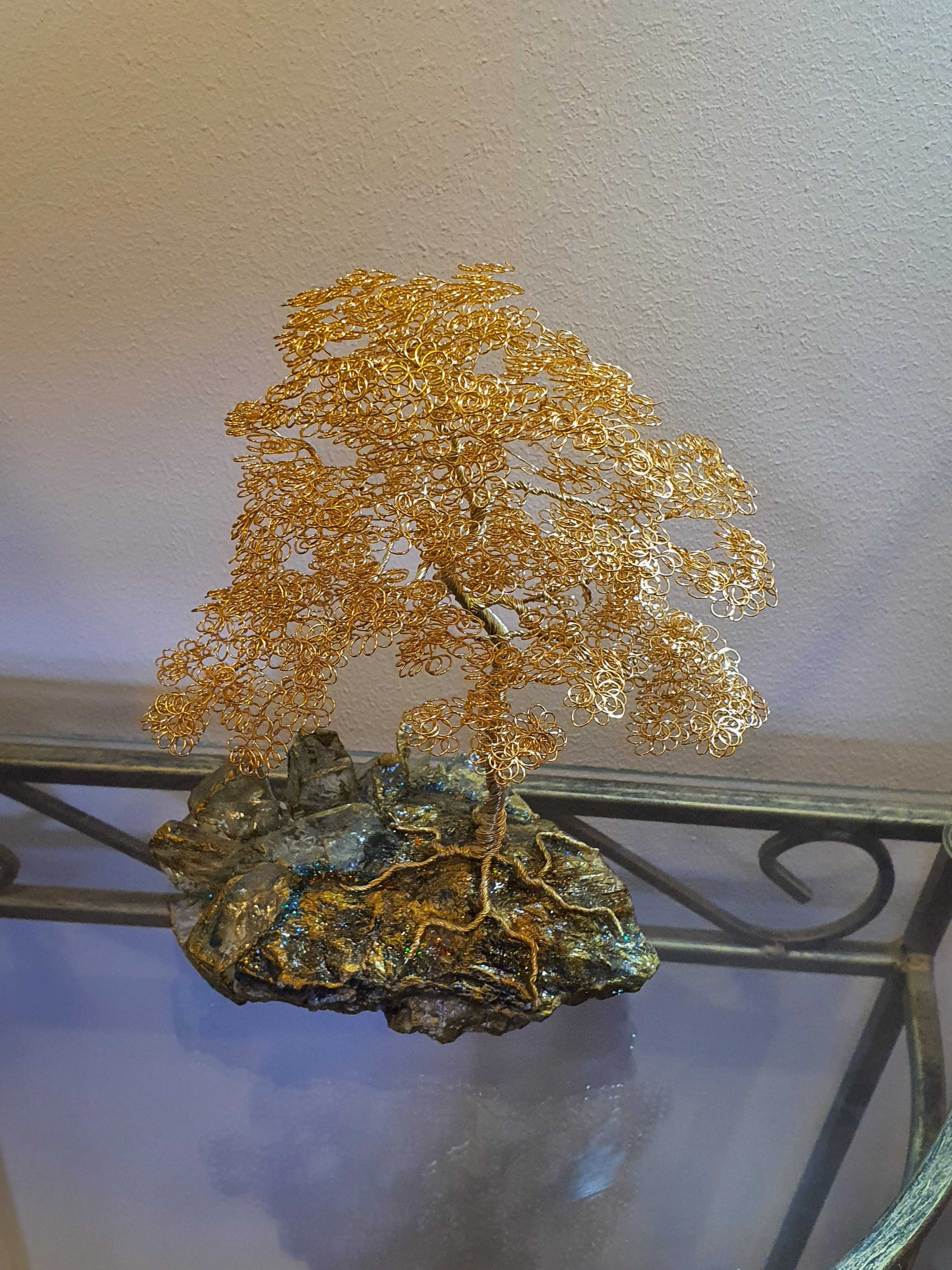 Drzewko szczęścia, bonsai