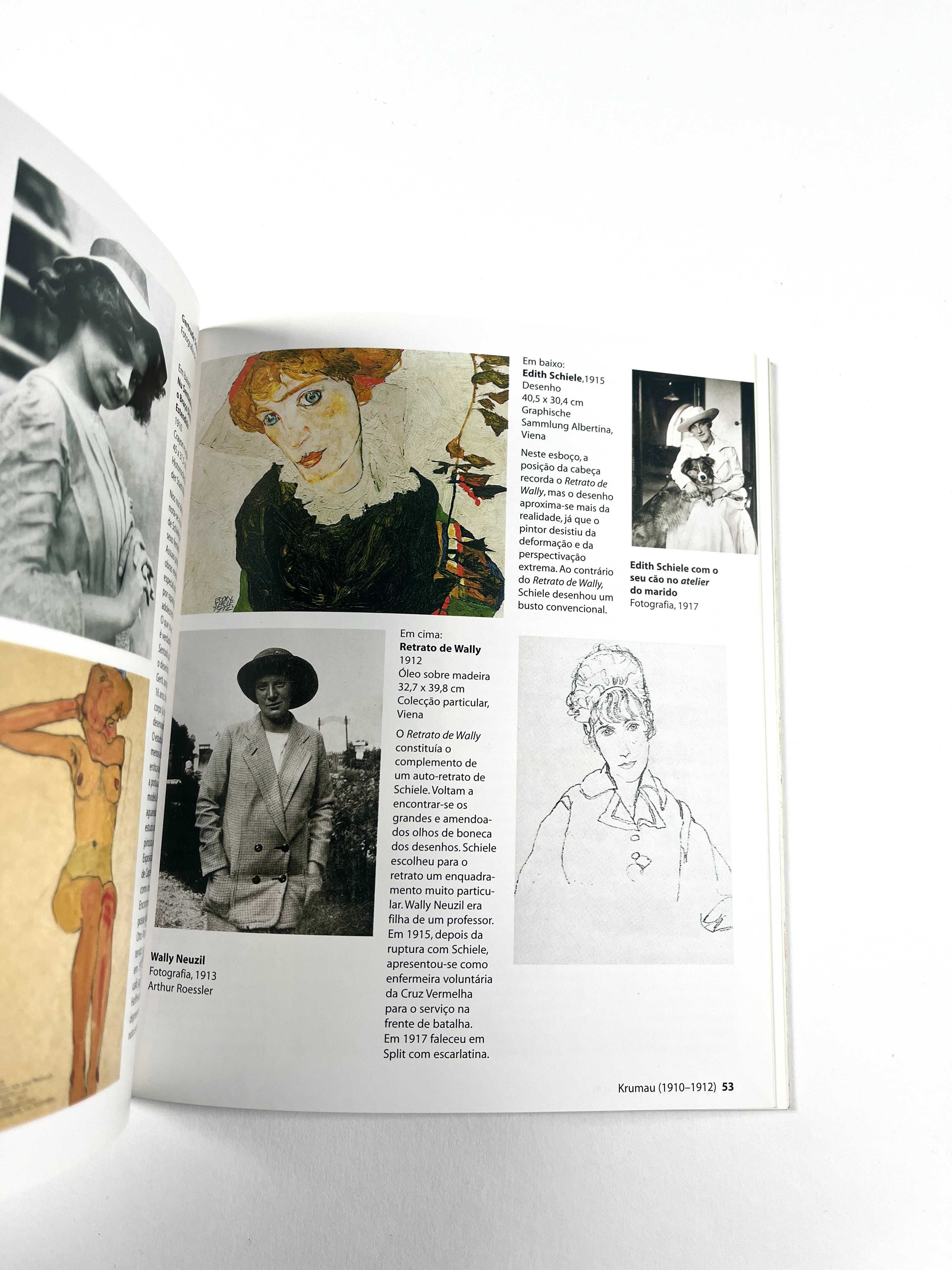 Egon Schiele Vida e Obra Miniguia de arte Könemann 2001 Livro