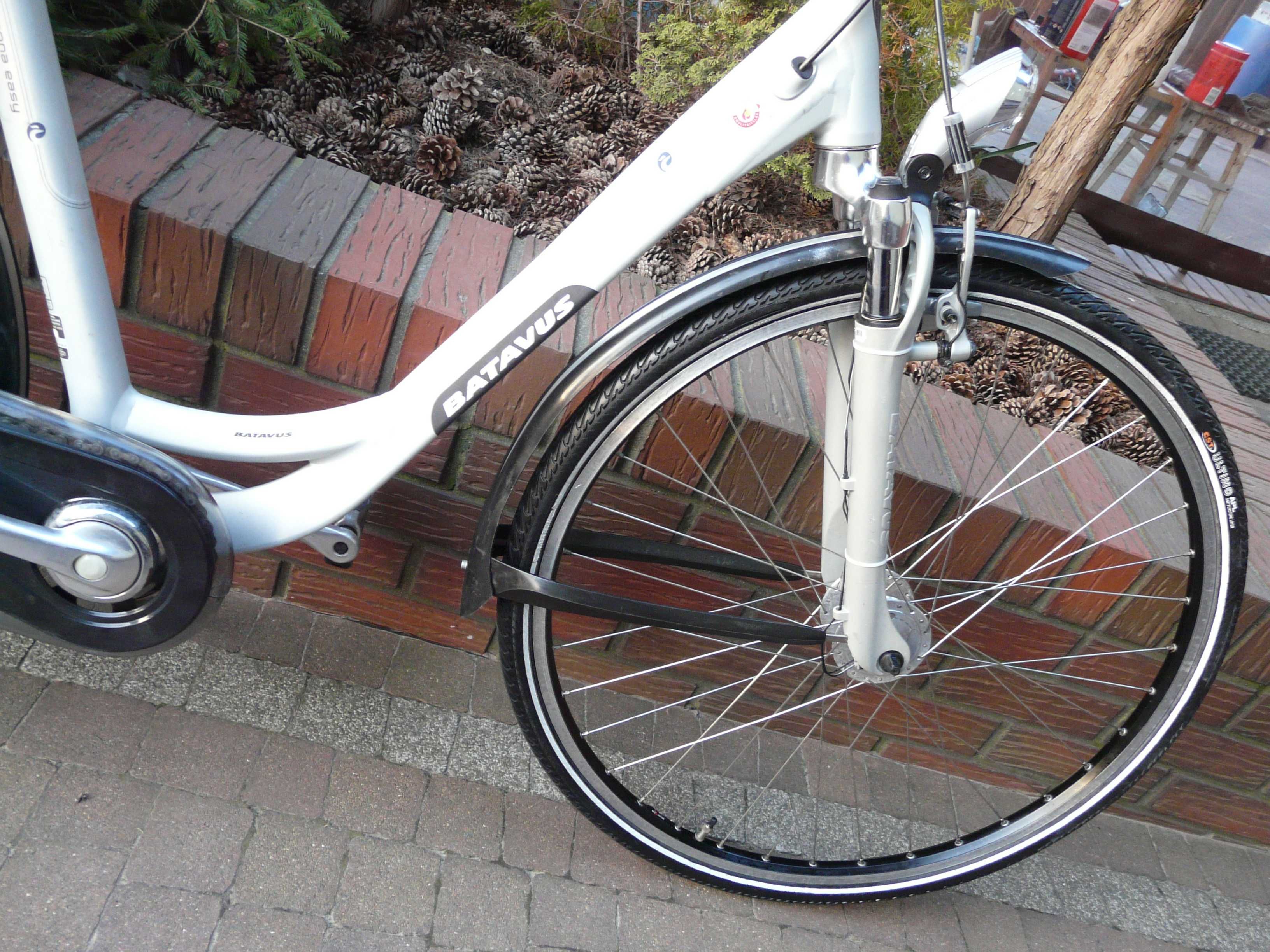 Rower miejski BATAVUS Verona Easy 28"/55 nożny,Niderland