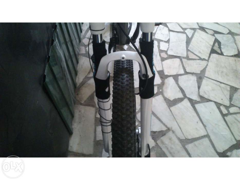 Protector de Suspensão BTT