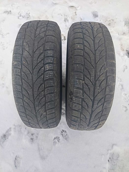 Opony Paxaro 2021r. 195/65r15