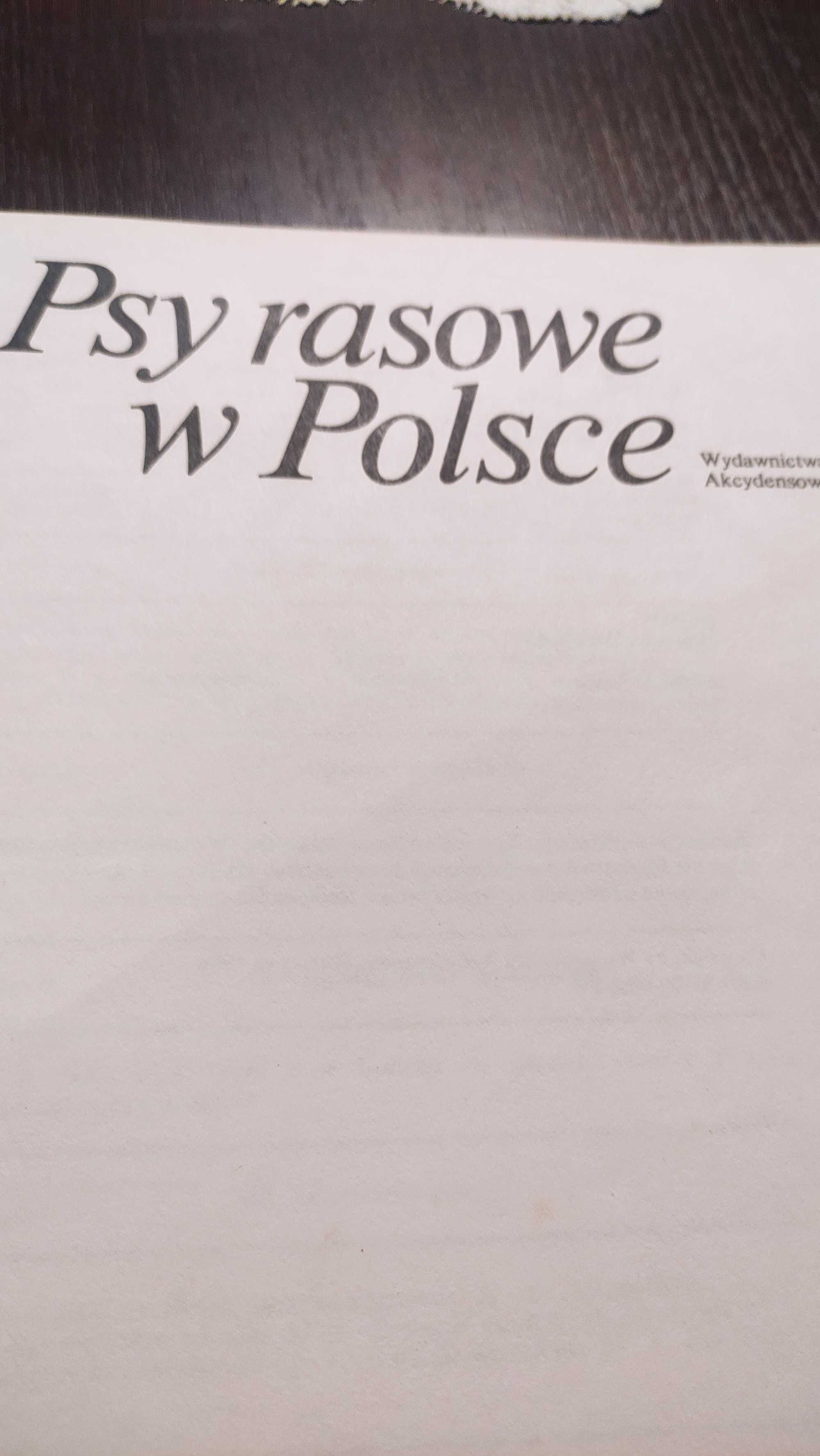 Psy rasowe w Polsce