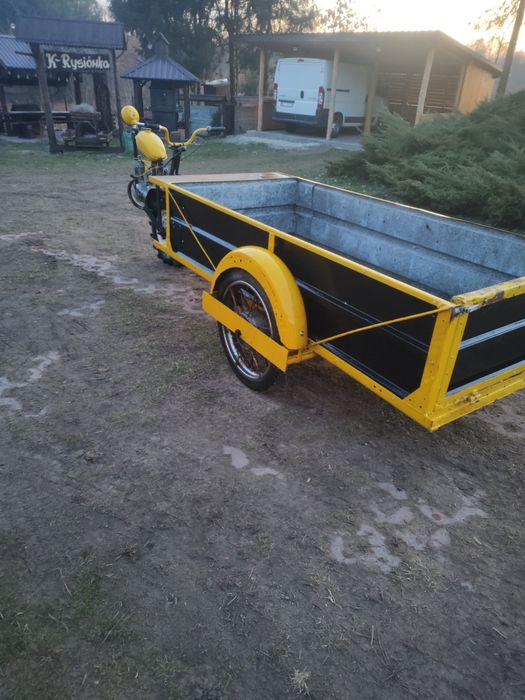 WSK dzik trójkołowiec