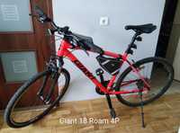 Rower Giant 18 roam 4P