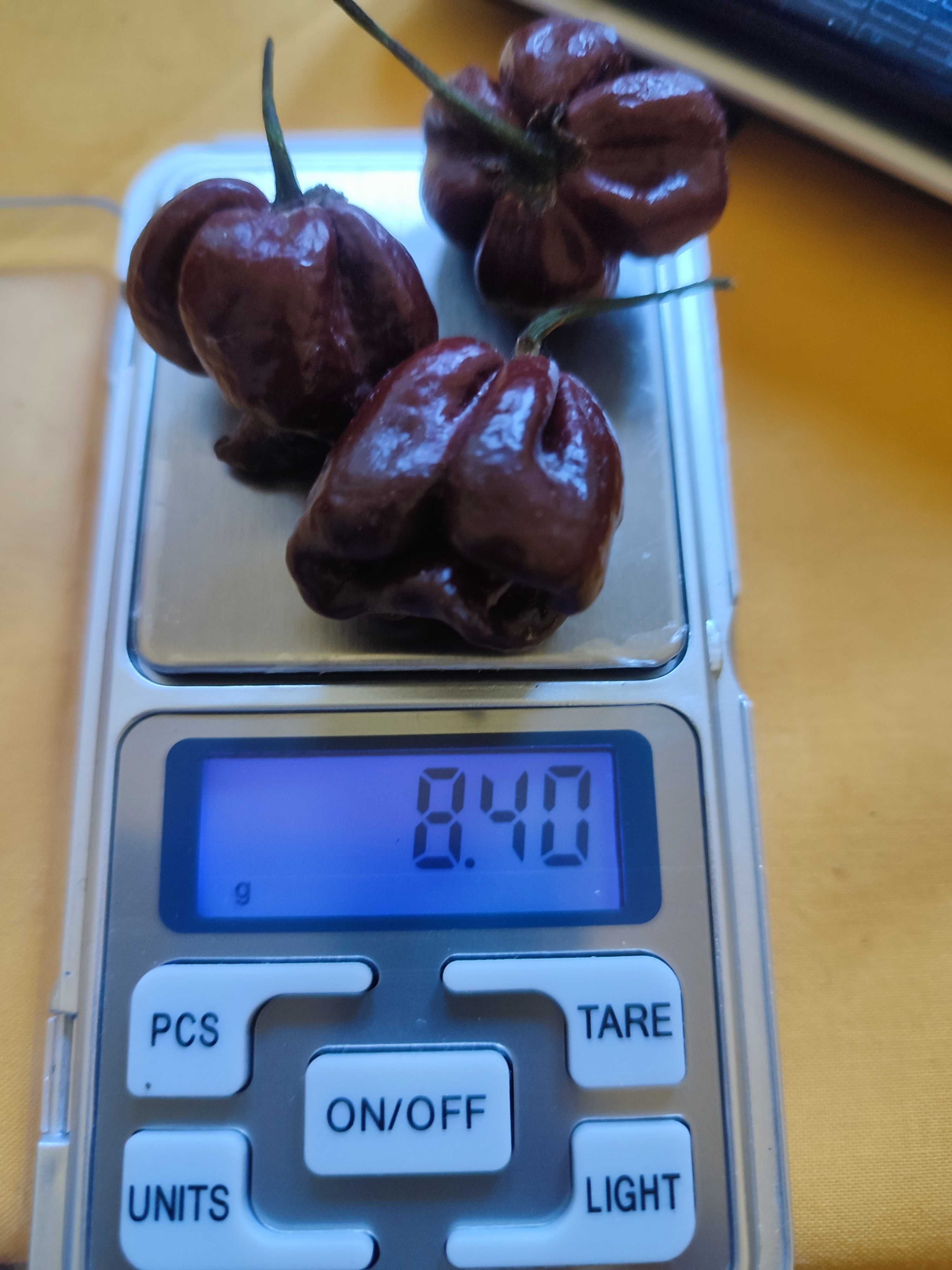 Habanero chocolate