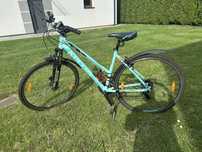 Rower Kellys Clea 10