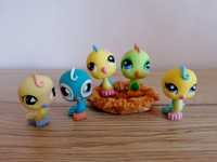 Littlest pet shop lps zestaw ptaszków