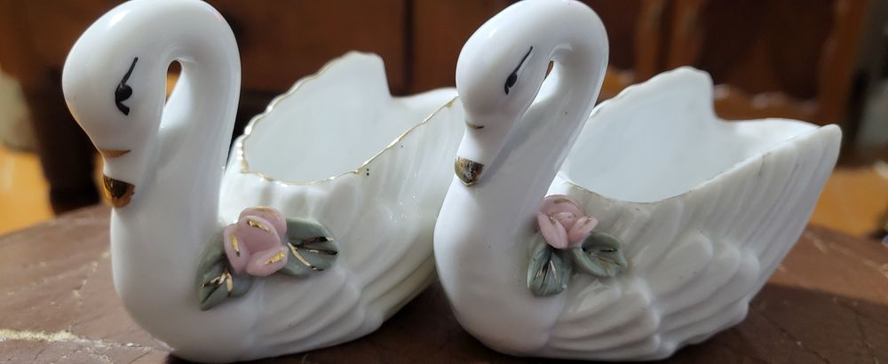 Par Cisnes  chineses