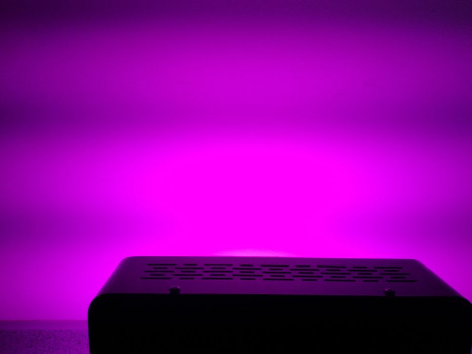Led de floração e crescimento.