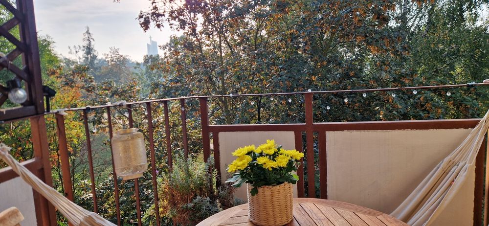 Mieszkanie / 2 balkony/ 2 piętro/ 66m2