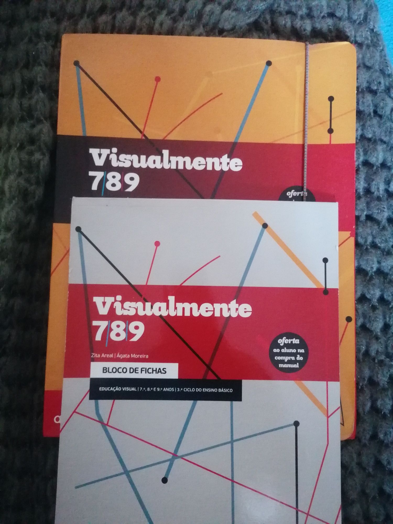 Cadernos de atividades 8°ano