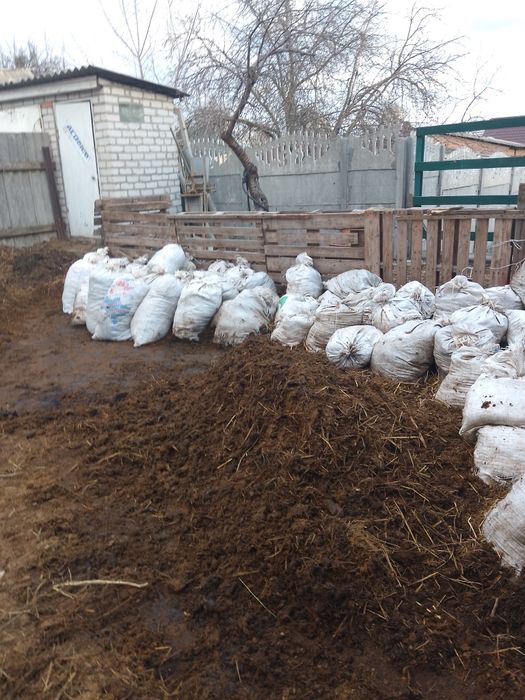 ,Навоз чистый  . конский.