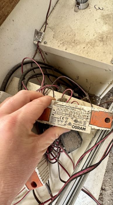 Debowa gablota przeszklona  ekspozycja wystawa podswietlana