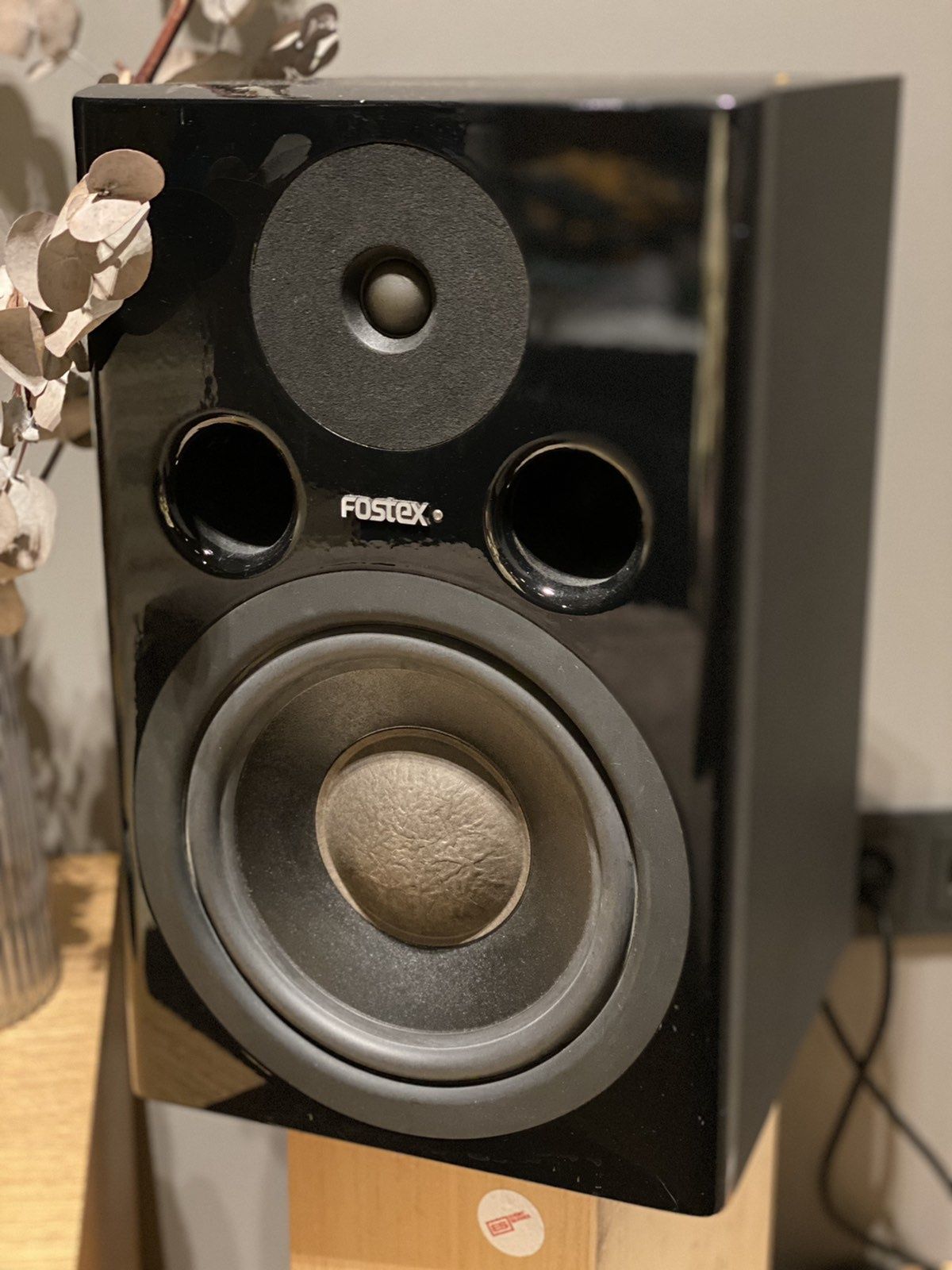 Fostex PM2 Mk2 активні монітори (пара)