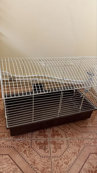 Клітка для гризунів в ідеальному стані