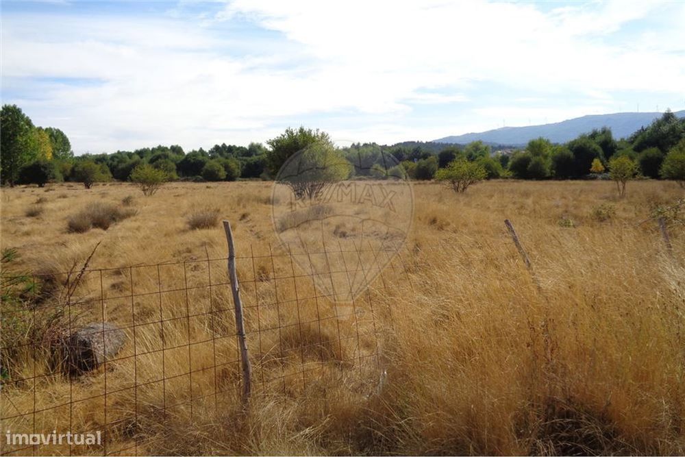 Terreno agrícola