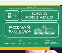 Bilet Dawid Podsiadło Poznań 16.06 2 lub 4 sztuki obok siebie