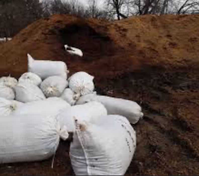 Кінський навоз, лівий берег, Воронцова